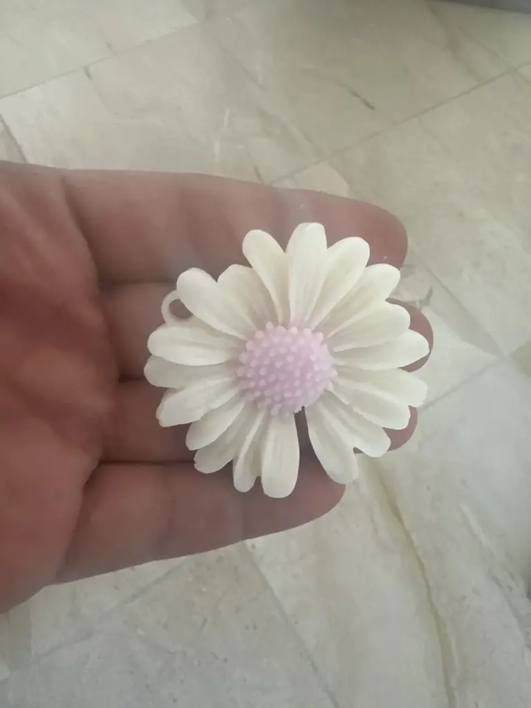 Daisy Small