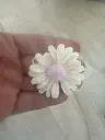 Daisy Small