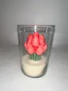 Tulip Garden Roselush XXL
