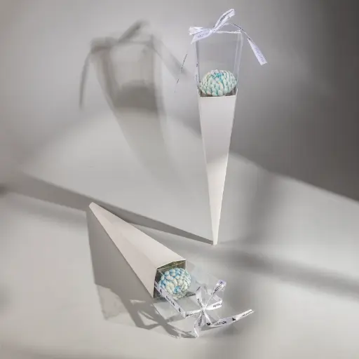 Chrysanthemum Flower Large