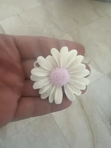 Daisy Small