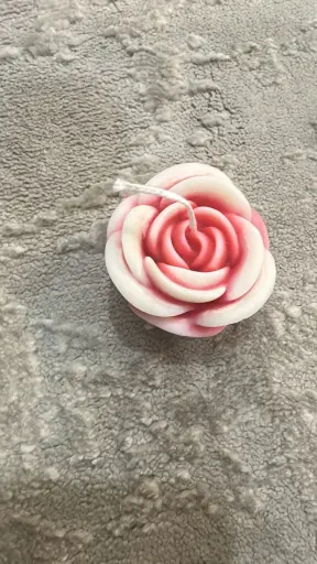 Rose Flower Medium