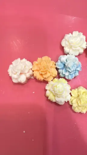 Carnation X-Small