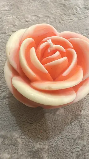 Rose flower XX-Large